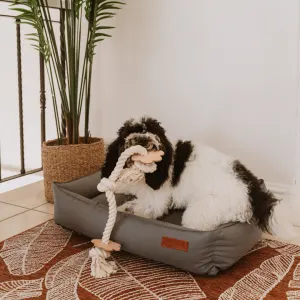 dog laying in its bed playing with the paw rope toy