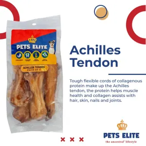 info about achilles tendon