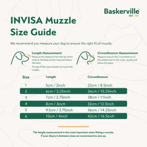 sizing guide
