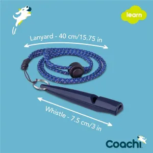 size of whistle and lanyard