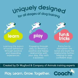 steps of coachi training