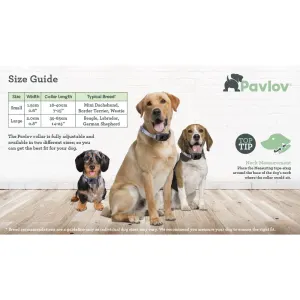 sizing guide to find the right collar