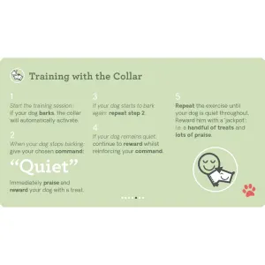 steps to guide dogs and owners through the training process part one