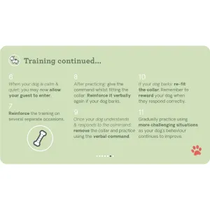 steps to guide dogs and owners through the training process part two