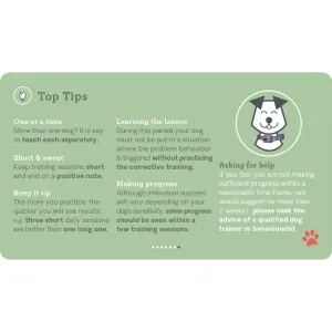 six tips to help with training