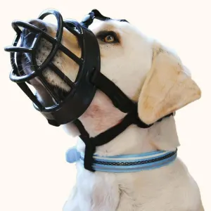 side view of muzzle on large dog