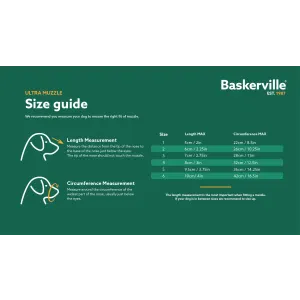 sizing guide