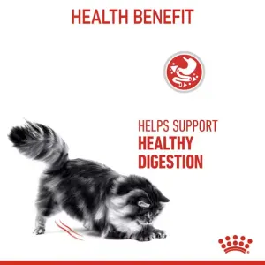 helps support healthy digestion