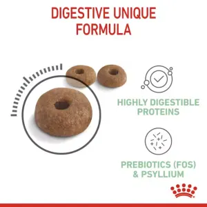 kibble look and size