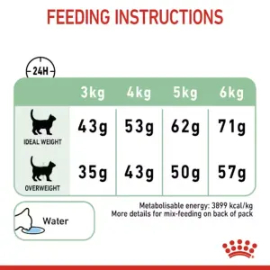 dry food feeding guide