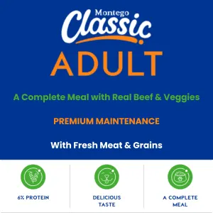 info about the wet food
