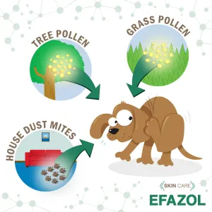 Environmental Allergens - grass, pollen, mites
