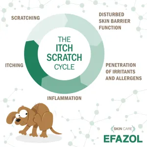 the itch scratch cycle