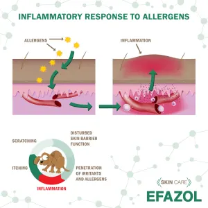 Inflammatory Response to Allergens