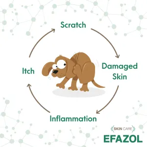 simple itch cycle