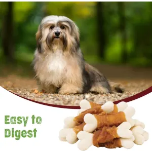 easy to digest dog chews