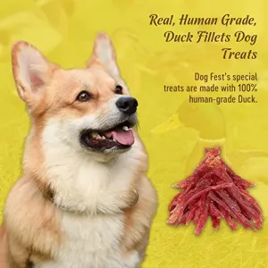 made with human grade ingredients
