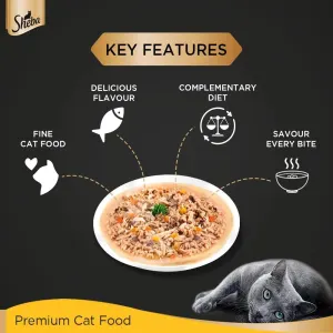 main features of sheba