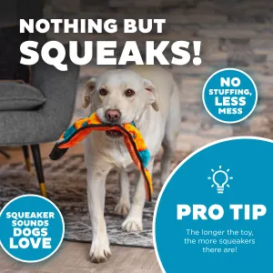 squeak toy with no stuffing