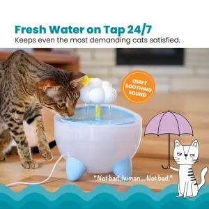 fresh flowing water with soothing sound from fountain