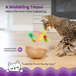 cat playing with the wobble effect of the toy