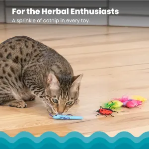 sprinkle of catnip in each toy