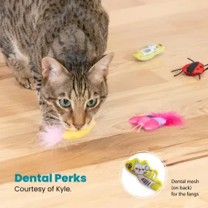 one toy has a dental mesh on the back