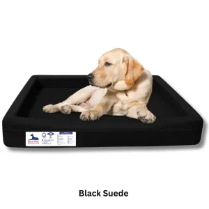 dog laying on throne bed