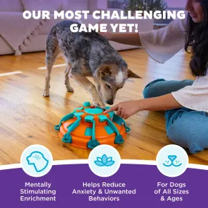 Nina Ottosson Tower of Treats Dog Puzzle Toy Benefits