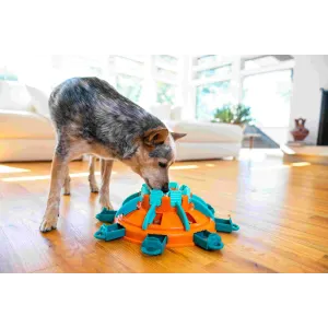 medium sized dog playing with treat toy