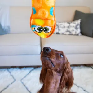 medium dog playing with toy