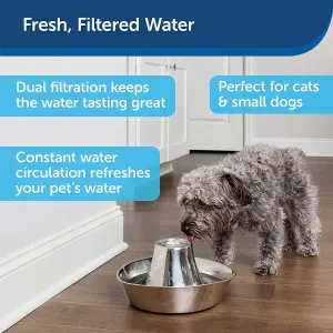 PetSafe® Seaside Stainless Pet Fountain Lifestyle