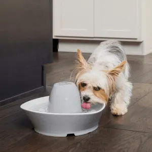 PetSafe® Streamside Ceramic Pet Fountain Dog Lifestyle