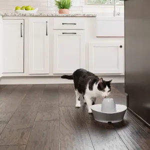 PetSafe® Streamside Ceramic Pet Fountain Cat Lifestyle