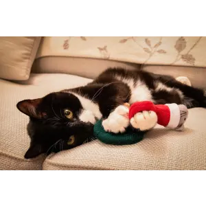 Martha & Mayor Mice Duo Xmas Cat Plush Toy