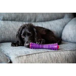 Johnny Stick Dog Treats Dispenser Lifestyle