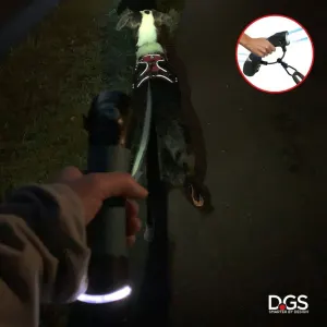 I’m Gismo Flashlight Connectable