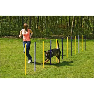 Agility Slalom Set for Dogs