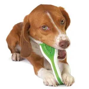Finity Toothbrush Dog Chew Toy