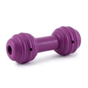 Busy Buddy Chuckle Dog Toy