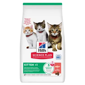 Hill's Kitten Dry Food - Salmon