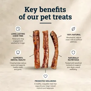 Three tracheas in centre with 5 bullets showing key benefits of the trachea treats