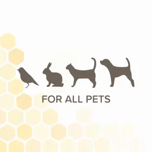 Animated bird, rabbit, cat, dog