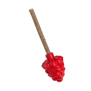 Dental Raspberry Silvervine Teether Sticks