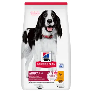 Hill's Adult Medium Dry Dog Food - Chicken