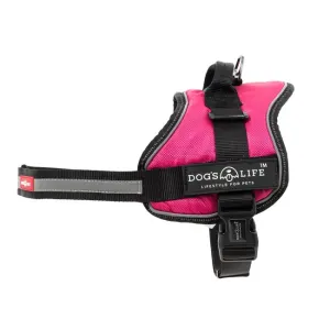 No Pull Dog Harness