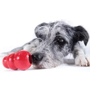 Cani KONG | Giocattoli E Accessori Per Cani Su - Foto 3