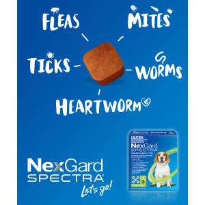 Shop NexGard Spectra Chewable Tablets for Dogs | ePETstore