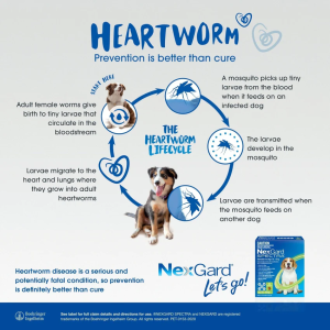 Shop NexGard Spectra Chewable Tablets for Dogs | ePETstore