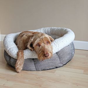Deep Tweed Teddy Bear Pet Bed | ePETstore